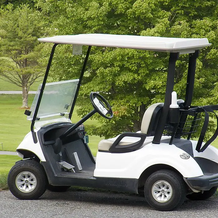 Types Of Golf Carts